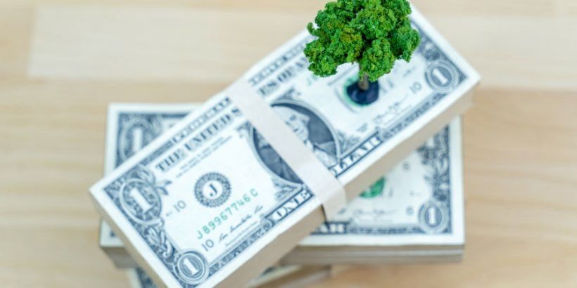 packs-of-dollar-bills-with-some-greenery-on-top